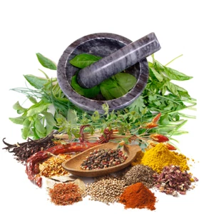 MEDICINAL HERB SEED PACK-20 PACKETS-EDIBLE FLOWERS-TEA-COTTAGE GARDEN PLANTS - Picture 1 of 24