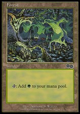 1x Forest (347) MTG Urza's Saga NM Magic Regular