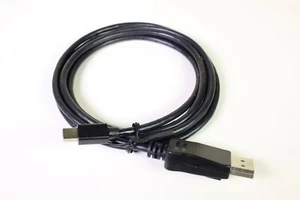 Display Port to Mini Display Port Cable - 70 Inches (5 ft 10 in) DisplayPort - Picture 1 of 4