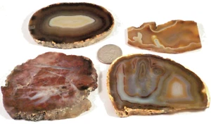4 Fabulous Agates & Jasper Total 9.8 Ounces 1st 4 Pics Wet Fee Shipping #3438 - Picture 1 of 7