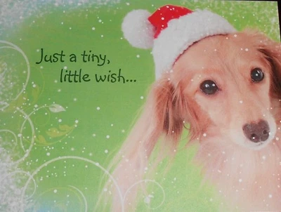 DACHSHUND in Santa Hat🎄CHRISTMAS Cards 10/10 NEW Holidays WIENER DOG Tiny Wish - Image 1 of 3