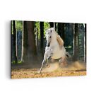 Canvas Print 100x70cm Wall Art Picture Dust Emotions Horse Nature Framed Artwork