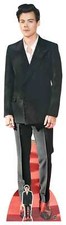 Harry Styles Red Shoes Lifesize & Mini Cardboard Cutout / Standee / Standup