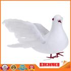Lover Peace Doves Bird Wedding Bird Simulation Feather Birds for Home Ornaments