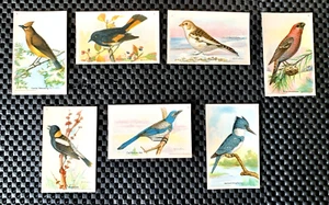 ARM & HAMMER UTILI BIRDS OF AMERICA NONA SERIE 7 CARTE CEDAR WAXWING REDSTART - Foto 1 di 5