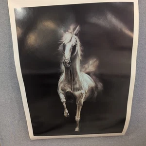 Sonia Torres Arabian Right Horse Artist's Print Torres Signed Numbered Limit Ed - Picture 1 of 7