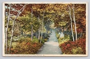 Path To The Club House Pocono Manor Pennsylvania Postcard - Picture 1 of 2