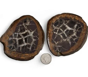 Septarian Halves Morocco 258 grams Polished Matching Specimens - Picture 1 of 2