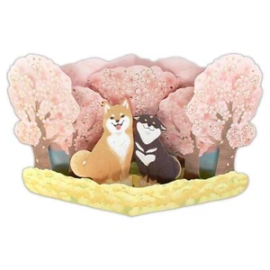 Shiba Inu Dog & Cherry Blossoms 3D Pop-Up Card – Made in Japan, Gold Foil - Picture 1 of 6