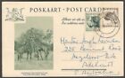 South Africa 1954 1 1/2d Leopard illus postal card GIRAFFE used