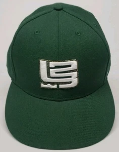 NIKE LEBRON JAMES SIGNATURE LOGO FITTED HAT MEN'S SIZE 7 3/8 GREEN - Picture 1 of 8