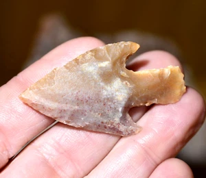 Afrikanisches neolithisches Steingeschoß geknappte Pfeilspitze Sahara, Afrika - Bild 1 von 8