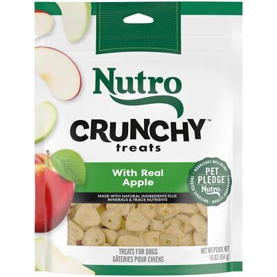 Crunchy Dog Treats With Real Apple 16 oz. Bag - Image 1 of 4