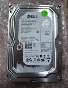 Western Digital Dell 0H962F WD2502ABYS-18B7A0 SATA 3.5" Hard Drive 250GB - Picture 1 of 4