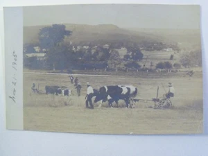 FARMING ARADO VACAS BUEYES c11/21/1905 REAL INDIVISO FOTO POSTAL SIN USAR 581 - Imagen 1 de 5
