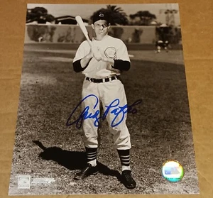 ANDY PAFKO Chicago Cubs SIGNED AUTOGRAPHED 8x10 Photo COA BASEBALL BRAVES - Picture 1 of 1
