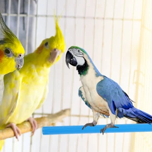 10 Pcs Plastic Stand Parrot Perch Bird Cage Perches for Parrots Accessories - Picture 1 of 12