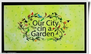 Singapore - "FLOWERS ~ TREES ~ OUR CITY IN A GARDEN" Unique Pres Pack 2013 - Picture 1 of 4