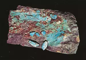 Postkarte Nevada Türkis Felsen & Mineralien NEUWERTIG - Bild 1 von 1