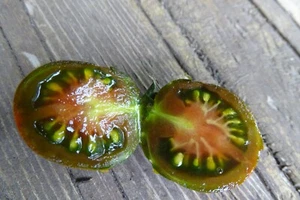 Tomate uva oliva jardín con color oscuro y rico sabor - Imagen 1 de 2