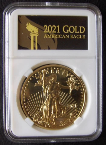 Coin Walking Statue Of Liberty $50, Type 2 Eagle Proof 2021 Cover