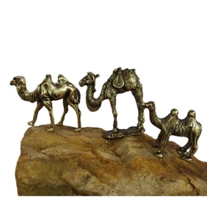 Messing Kamel Statue Tier Ornament Spielzeug Sammlerstücke Schreibtisch Dekoration Geschenk ~ - Bild 1 von 17