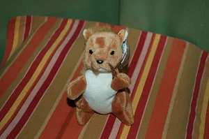 NUTS the Brown SQUIRREL  - Ty Beanie Baby  - MWMT - Fast Shipping - Picture 1 of 3