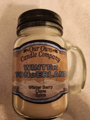 WinterWonderland Scent, 100 horas de quemadura, vela 13 oz MasonJar de OurOwnCandleCompany Foto 1 de 2