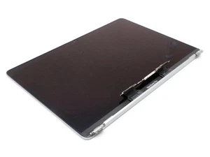 Apple A1989 13.3" LCD Assembly (color may vary) | 2560x1600 Resolution - Afbeelding 1 van 4