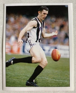 VFL AFL SHANE WATSON Collingwood Magpies 1995 Select Football Sticker #52 - Bild 1 von 2