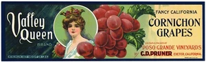 ETIQUETA ORIGINAL DE CAJA DE UVA VINTAGE AÑOS 20 VALLEY QUEEN TULARE COUNTY CORNICHON - Imagen 1 de 1