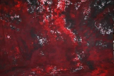  Senior  photo background-   Excellent Condition  Hand Painted - Image 1 of 3