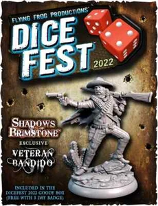Shadows of Brimstone Veteran Bandido Hero Dice Fest 2022 Promo Miniature - Picture 1 of 2