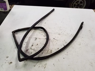 Sello de oruga de vidrio para puerta interior trasera derecha | Se adapta a Jaguar XJ6 1980-1987 Foto 1 de 4