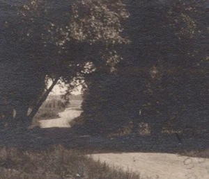 RPPC CARBONDALE, PA, 1931 carretera a través del dosel de árbol - Imagen 1 de 4