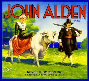 Highland John Alden Pilgrim Thanksgiving Orange Citrus Fruit Crate Label Print - Picture 1 of 1