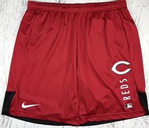Nike Cincinnati Reds Authentic Training Dri-Fit Shorts Men’s Large Team Issued - Picture 1 of 7