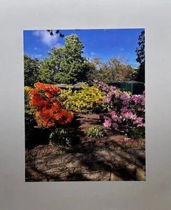 Personalised Mothers Day Gift Quality Printed Photographs 8"x10" +2" Border - Picture 1 of 2