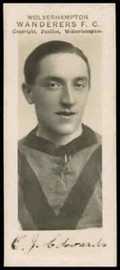 Paulton's - 'Wolverhampton Wanderers 1923-24 (B&W)' - C.J. Edwards (1923) - Imagen 1 de 2
