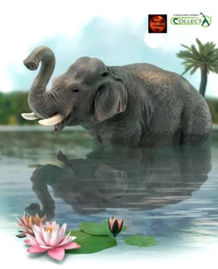 Asian Elephant Wildlife Toy Model Figure by CollectA 88486 Brand New - Foto 1 di 3