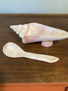 Vintage Conch Sea Shell Serving Bowl Dish With Spoon 8” Spoon Rest Trinket Dish - Picture 1 of 14