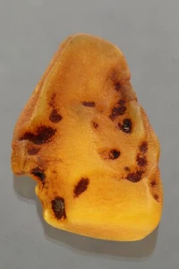 Genuine BALTIC AMBER Egg Yolk Solid Rough Nugget Sea Stone Piece 10.8g 230531-5 - Picture 1 of 6