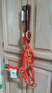 Weaver Breakaway Adj. Chin & Throat Snap Halter Leather Crown Orange Yearling SZ - Picture 1 of 4