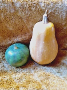 2 Pottery Barn Fall Decor Candles Butternut and Green Squash - Picture 1 of 4