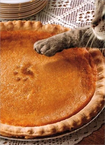 Grußkarte Erntedankfest - Pumpkin Pie Pfotenabdruck - Bild 1 von 2
