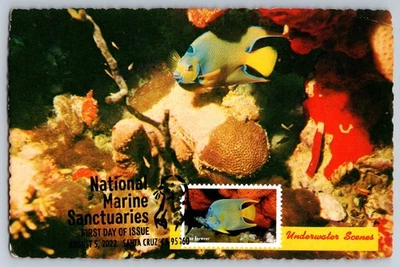 #5713i Marine Sanctuaries Queen Angelfish FDC Maxi Card w/Pictorial Cancel - Image 1 of 2