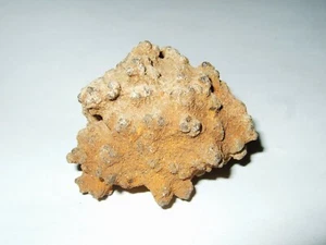 - Minerali Grezzi Cristalloterapia - LIMONITE pseudomorfa (1) u.s.a. - Picture 1 of 1