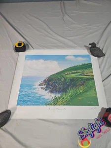 Donald Moss “The 14th at Mahogany Run" Signed 21x25 Golf Virgin Islands - Picture 1 of 11