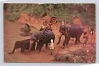 Postcard Ceylon Kandy Elephants Going For Daily Bath Katugastota River (J12)