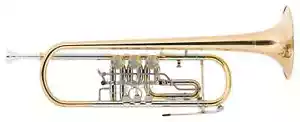 B Bb Konzert Trompete Goldmessing Drehventile Brass Koffer Mundstück Trigger - Bild 1 von 12